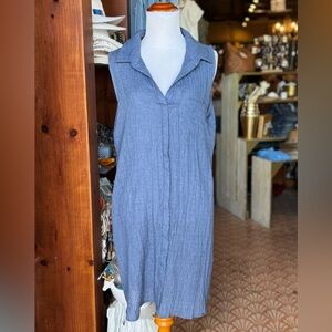 Blue Sleeveless Dress